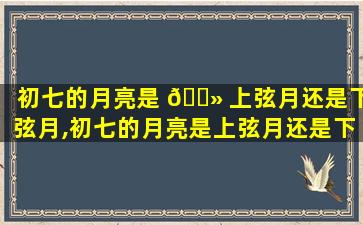 初七的月亮是 🌻 上弦月还是下弦月,初七的月亮是上弦月还是下弦 🐺 月呢